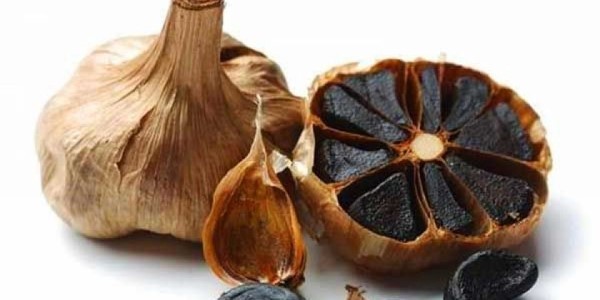 تصویر 1 از خرید و قیمت سیر سیاه تازه + فروش صادراتی